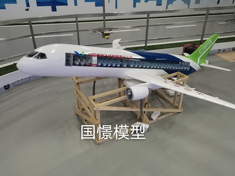 澄江市飞机模型